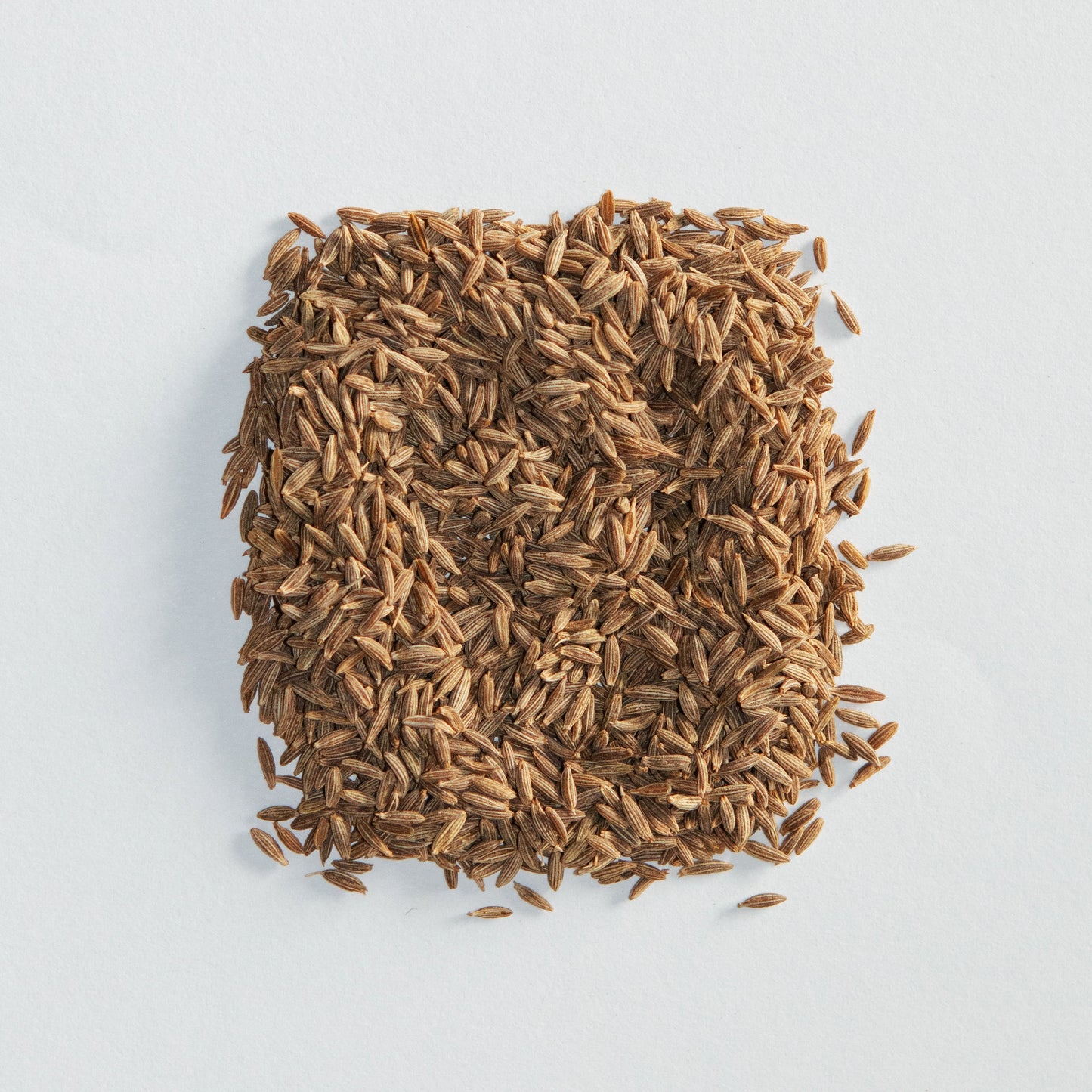 Szechuan Buzz – Drop #001