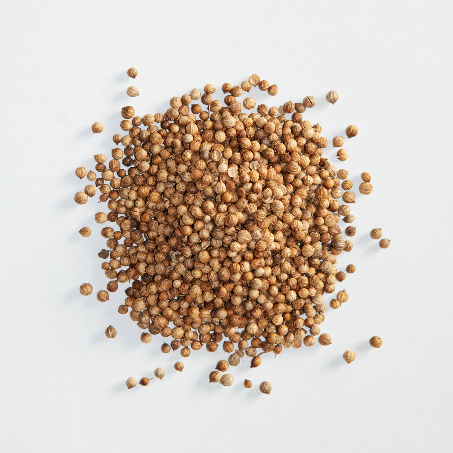 Szechuan Buzz – Drop #001